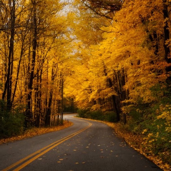 Meet your Posher, Meredith - Picture 1 of 1